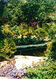 ATX Landscaping Services